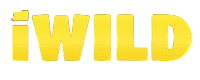 dsd